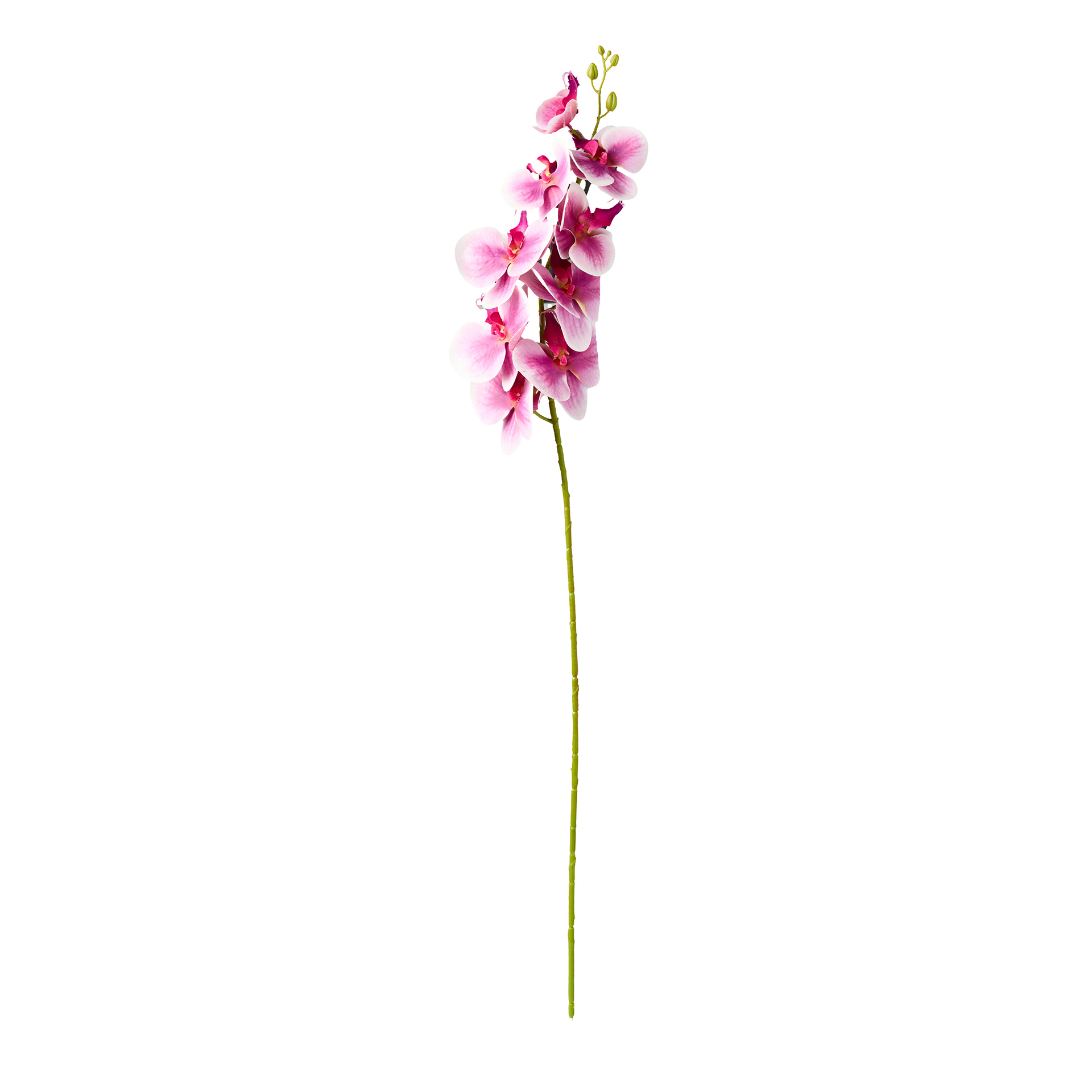 Haste Orquidea Phalaenopsis Rosa 90cm