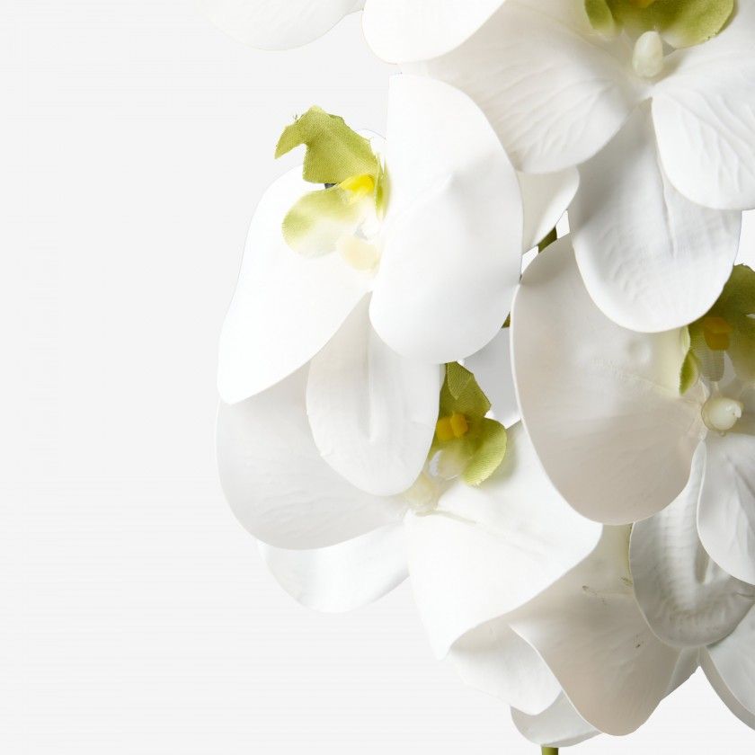 Haste De Orquidea Branco 90cm Haste De Orquidea Branco 90cm