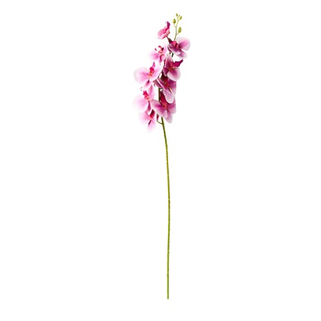 Haste Orquidea Phalaenopsis Rosa 90cm - Image product