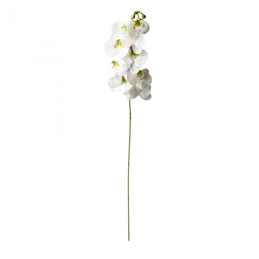 Haste De Orquidea Branco 90cm Haste De Orquidea Branco 90cm