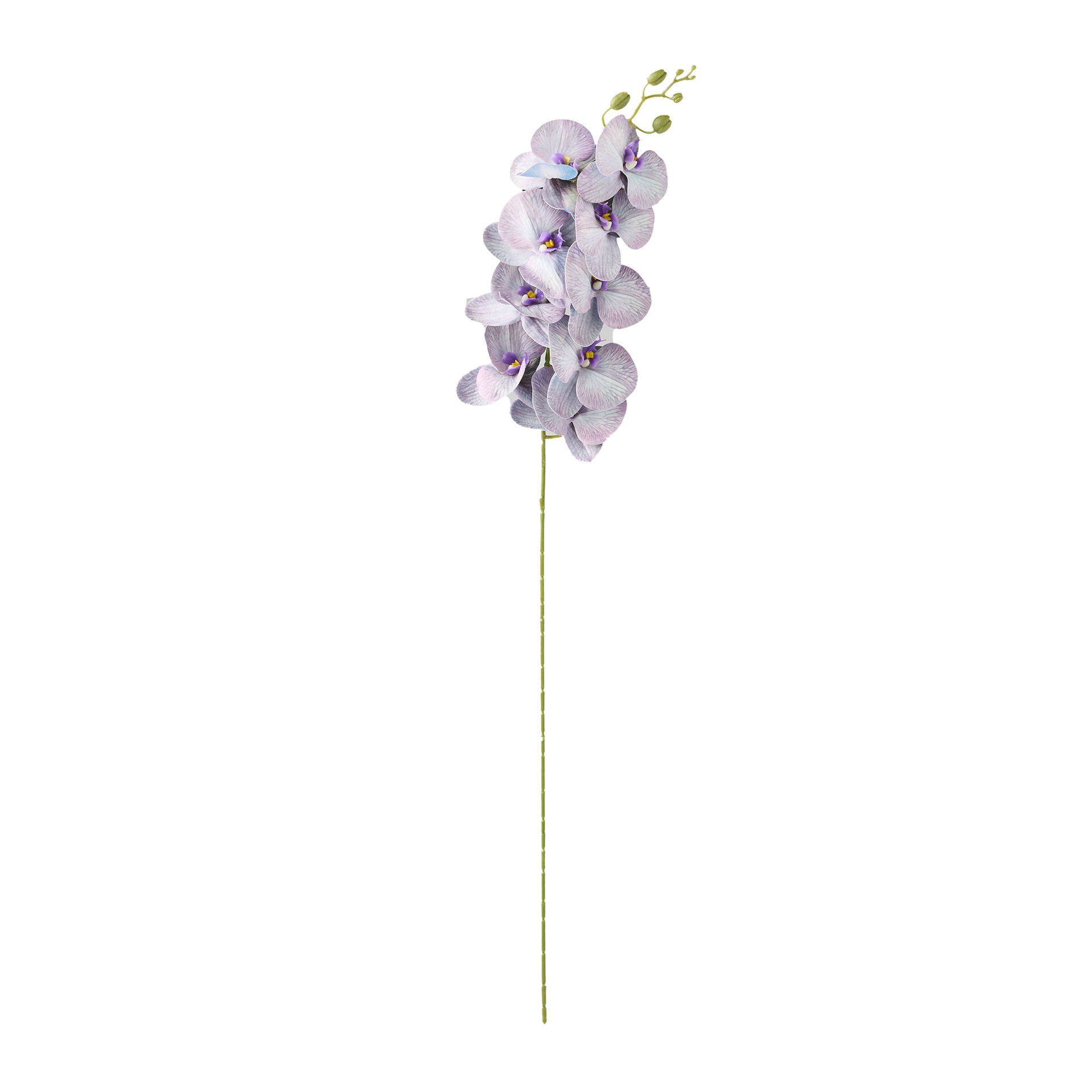 Haste De Orquidea Lilas 90cm