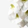 Haste De Orquidea Branco 90cm Haste De Orquidea Branco 90cm