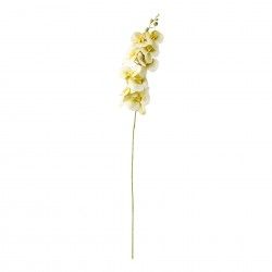 Haste De Orquidea Verde 90cm Haste De Orquidea Verde 90cm