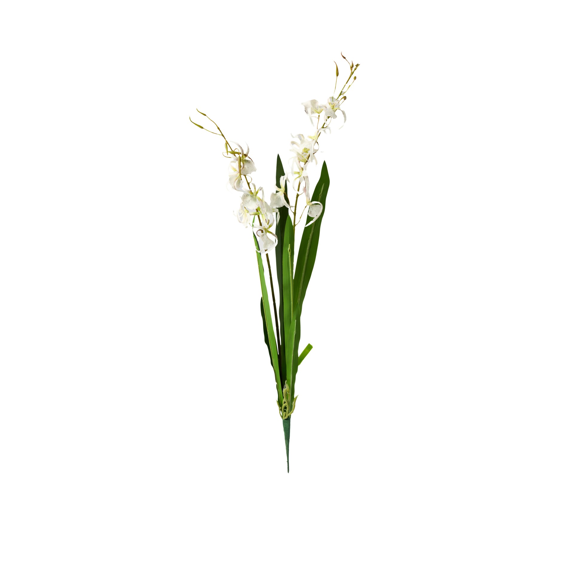 Haste Orquidea Brassia Branco 80cm