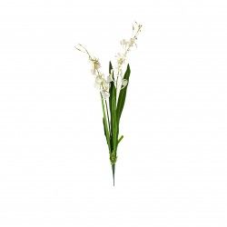 Haste Orquidea Brassia Branco 80cm