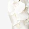 Haste Orquidea Branco Haste Orquidea Branco
