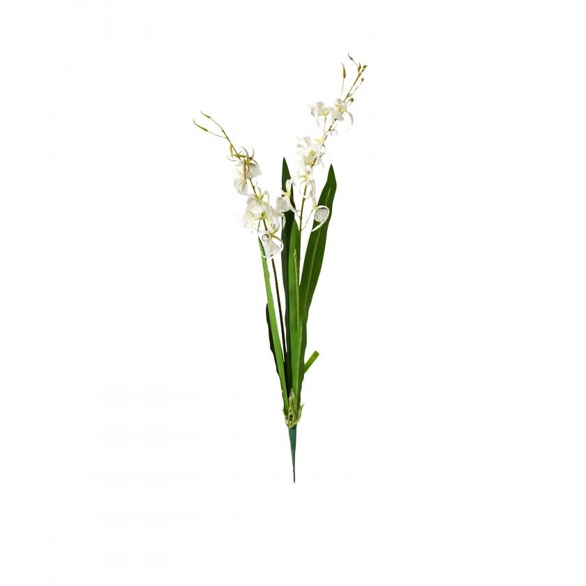 Haste Orquidea Brassia Branco 80cm