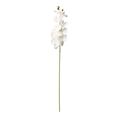 Haste Orquidea Branco