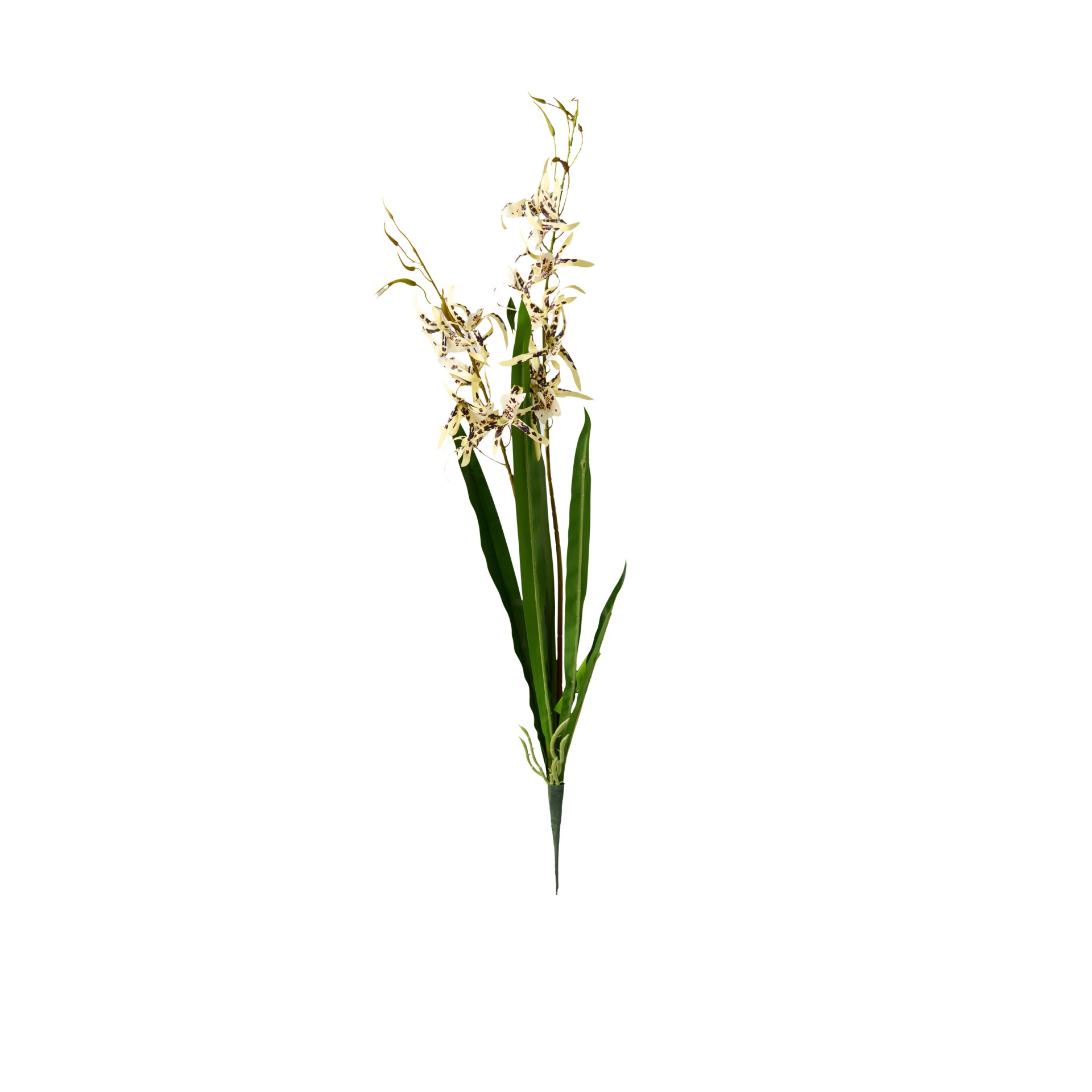 Haste Orquidea Brassia Amarelo 80cm