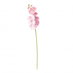 Haste Orquidea Phalaenopsis Rosa Claro 90cm Haste Orquidea Phalaenopsis Rosa Claro 90cm