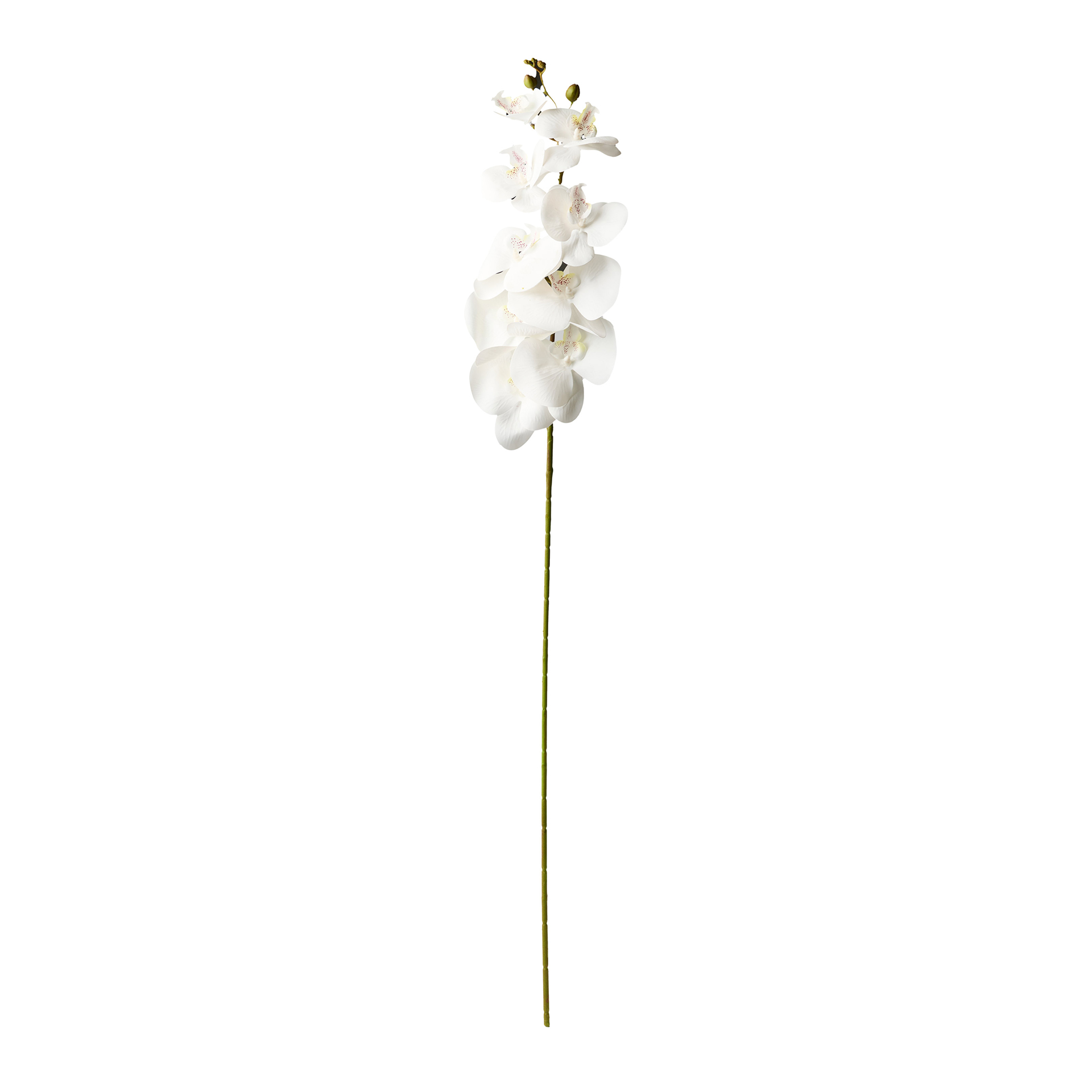 Haste Orquidea Branco