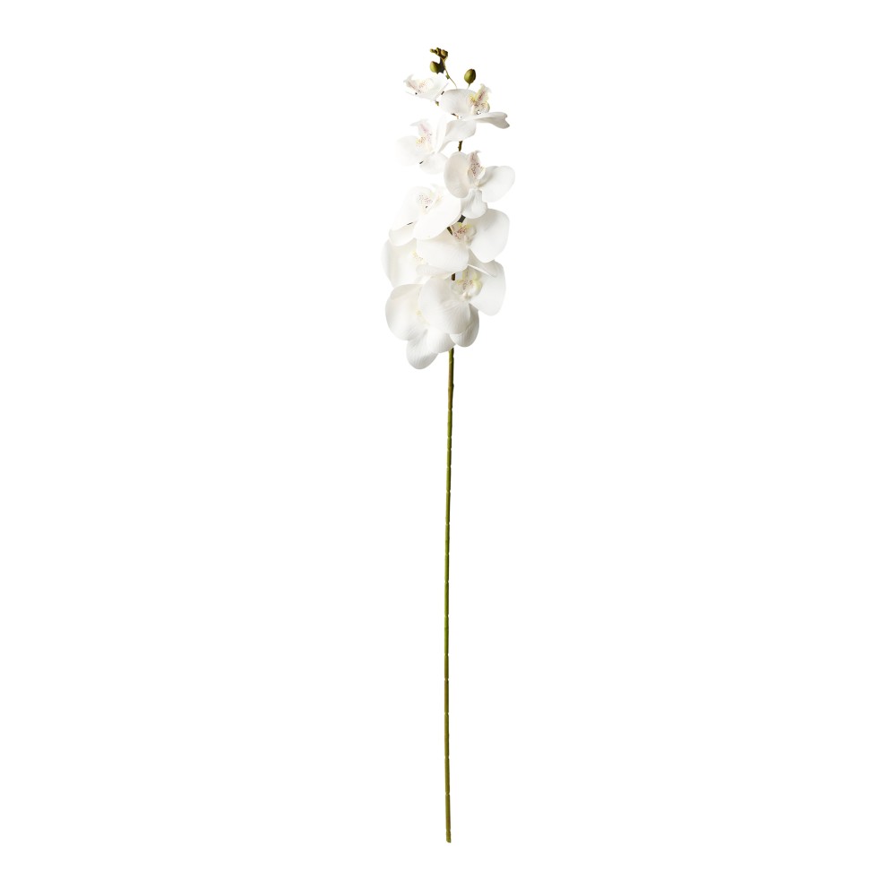 Haste Orquidea Branco