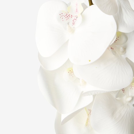 Haste Orquidea Branco - Image product