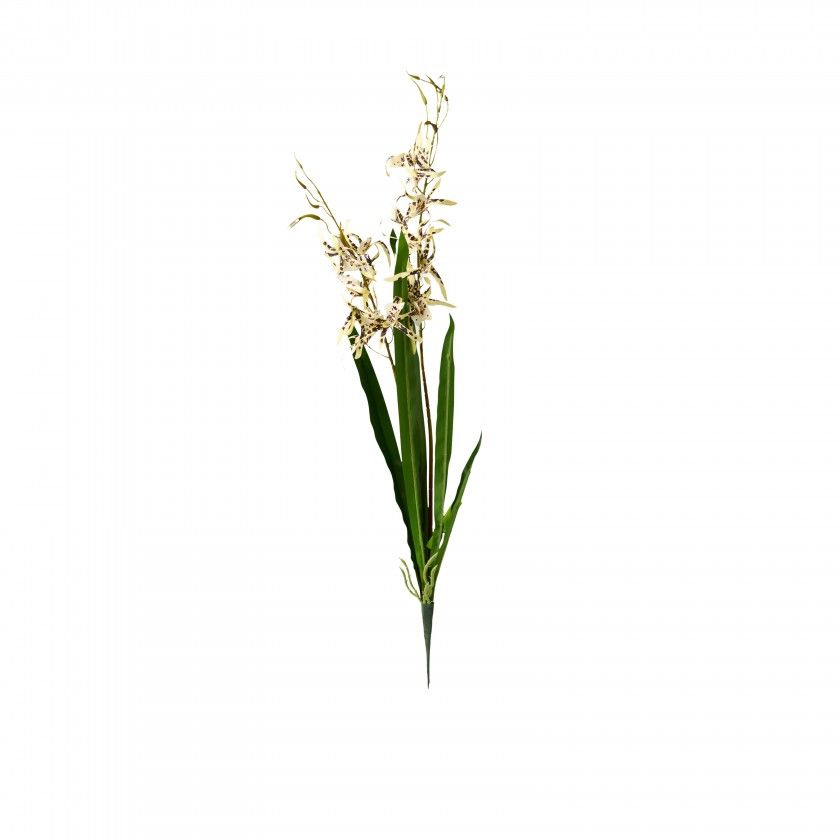Haste Orquidea Brassia Amarelo 80cm Haste Orquidea Brassia Amarelo 80cm