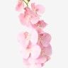Haste Orquidea Phalaenopsis Rosa Claro 90cm Haste Orquidea Phalaenopsis Rosa Claro 90cm
