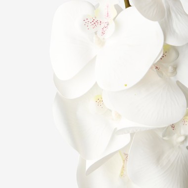 Haste Orquidea Branco