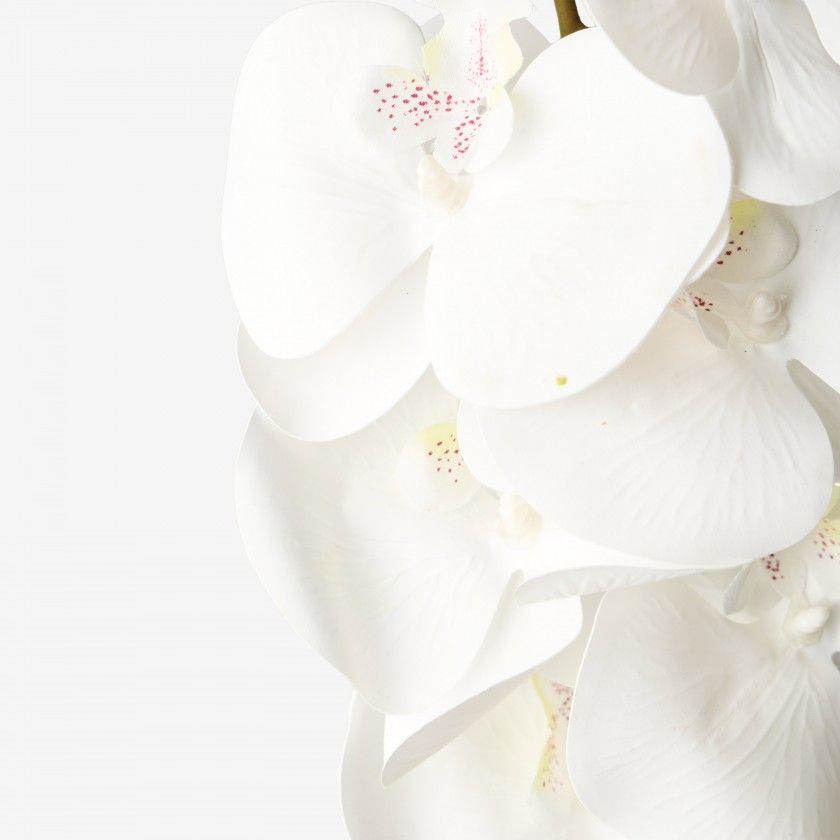 Haste Orquidea Branco Haste Orquidea Branco