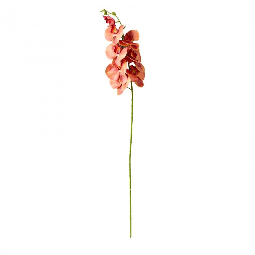 Haste Orquidea Phalaenopsis Laranja 90cm Haste Orquidea Phalaenopsis Laranja 90cm