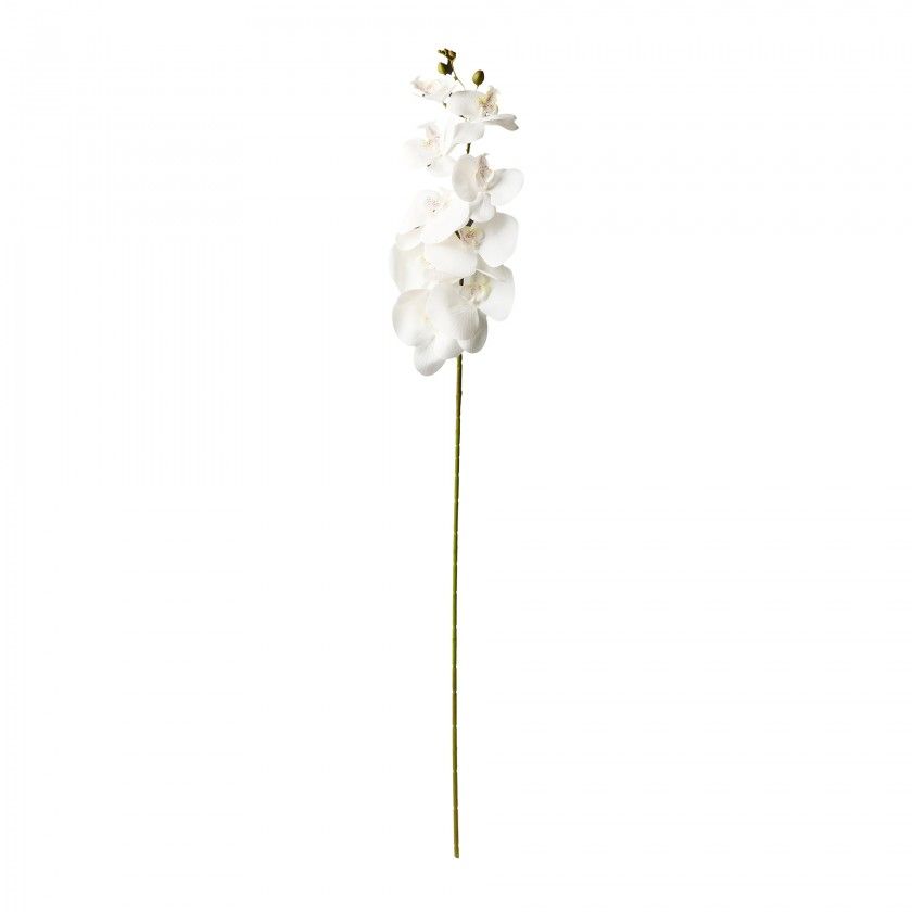 Haste Orquidea Branco Haste Orquidea Branco