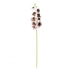 Haste Orquidea Phalaenopsis Bordeaux 90cm Haste Orquidea Phalaenopsis Bordeaux 90cm