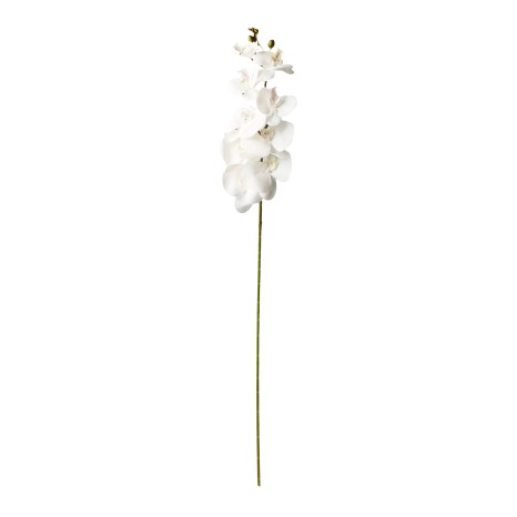 Haste Orquidea Branco - Image product