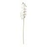 Haste Orquidea Branco Haste Orquidea Branco
