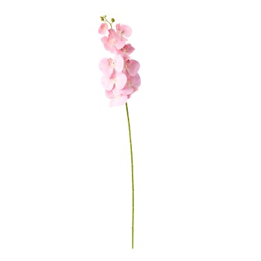 Haste Orquidea Phalaenopsis Rosa Claro 90cm
