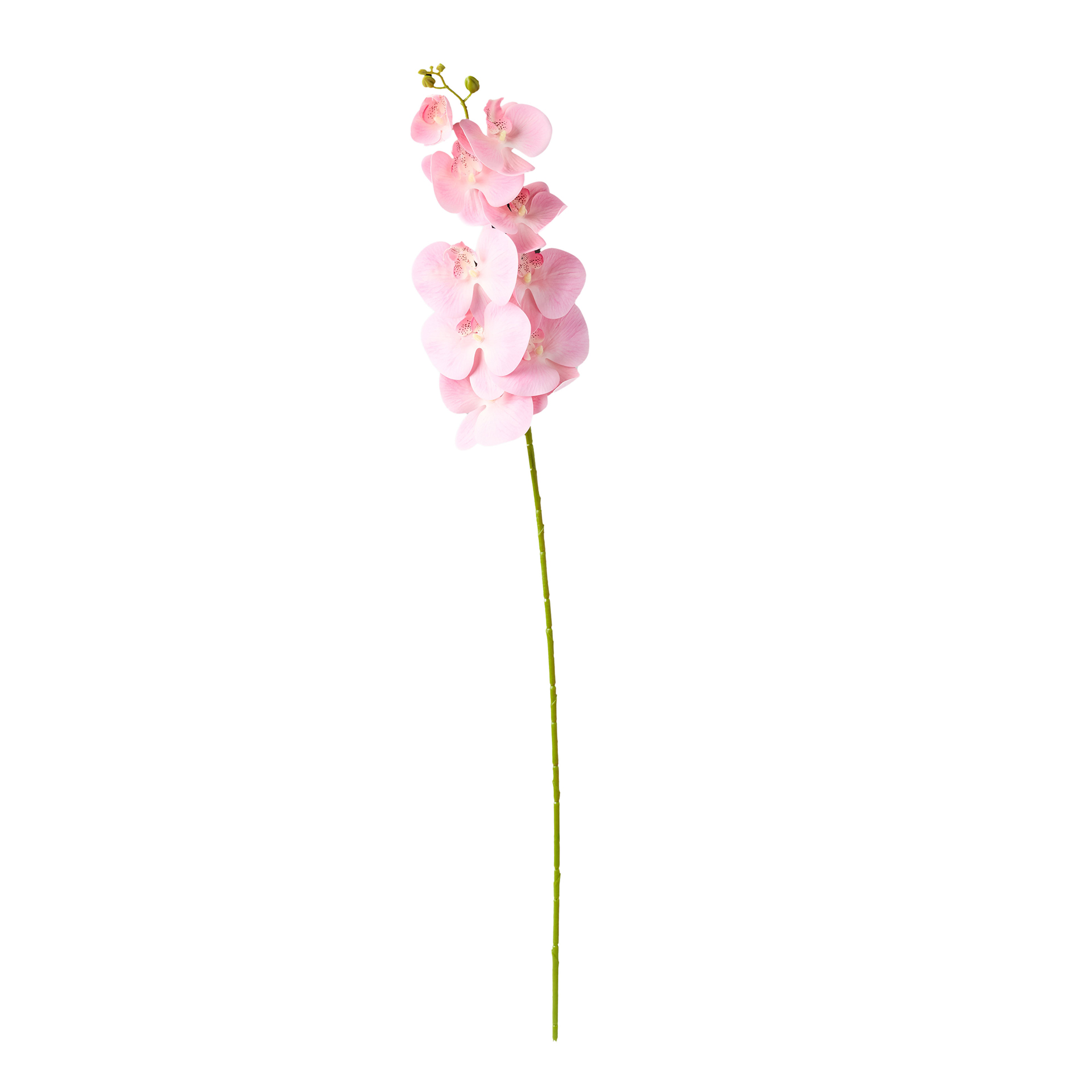 Haste Orquidea Phalaenopsis Rosa Claro 90cm