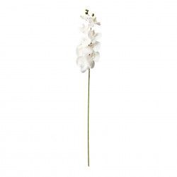 Haste Orquidea Branco