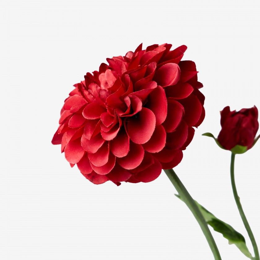 Haste Dalia Favos Com Botão Vermelho 60cm Haste Dalia Favos Com Botão Vermelho 60cm