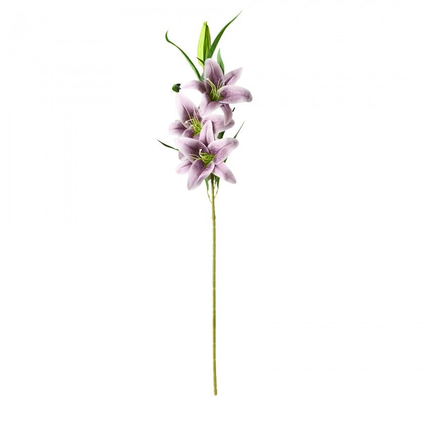 Haste Coroa Imperial Lilás 100cm Haste Coroa Imperial Lilás 100cm