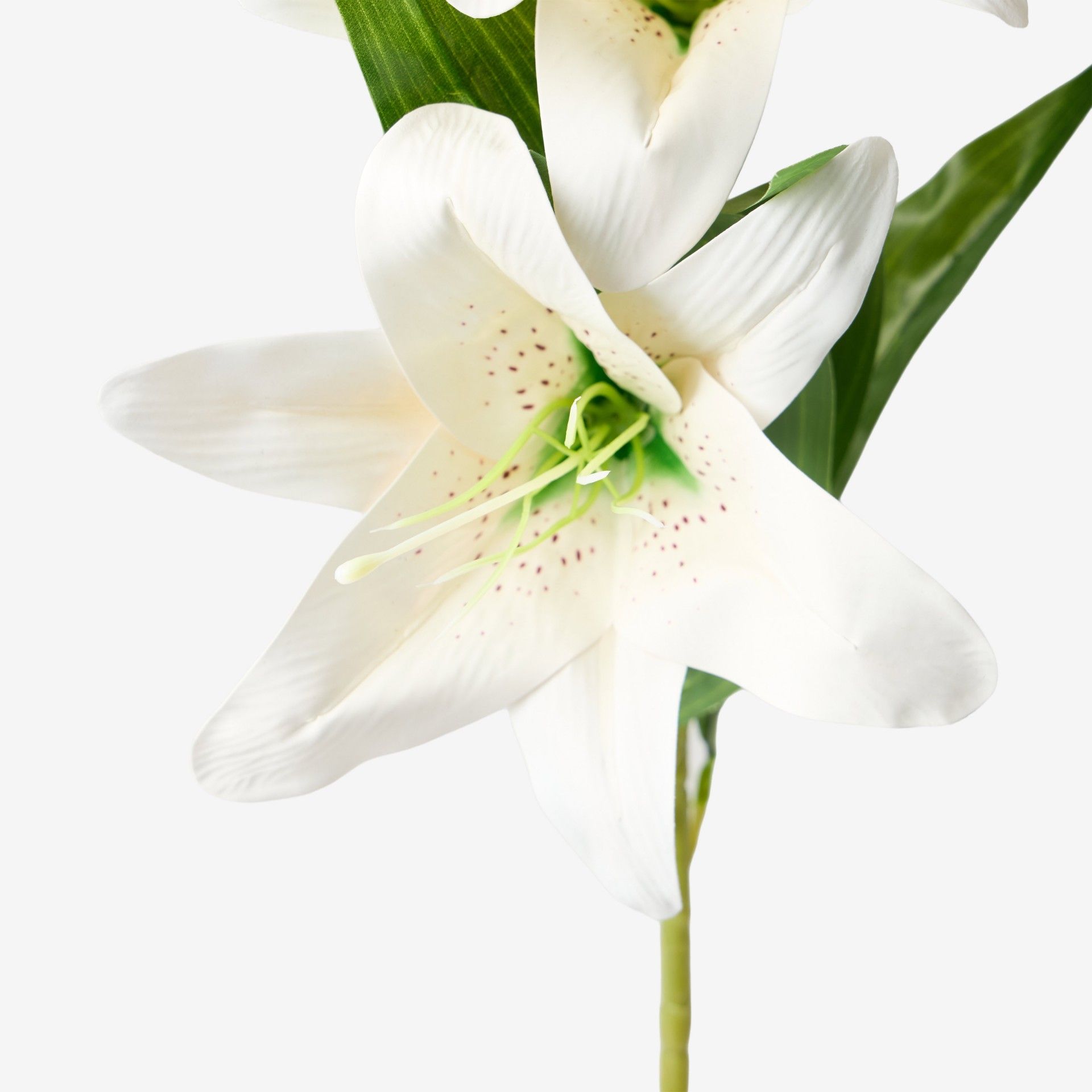 Haste Coroa Imperial Branco 100cm