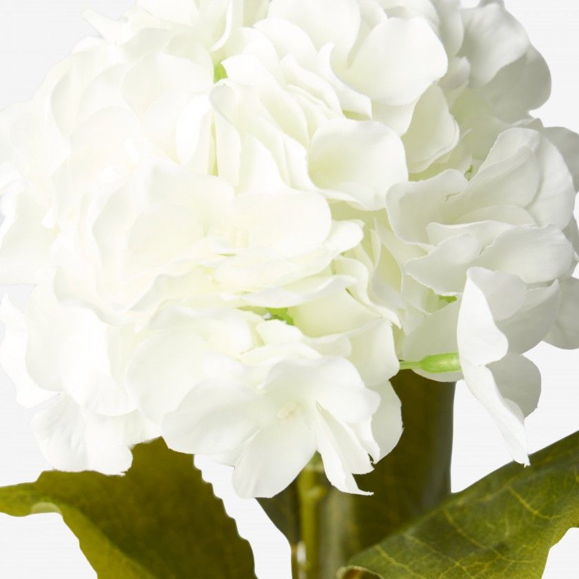 Haste Hortense Folhas Branco 65cm Haste Hortense Folhas Branco 65cm