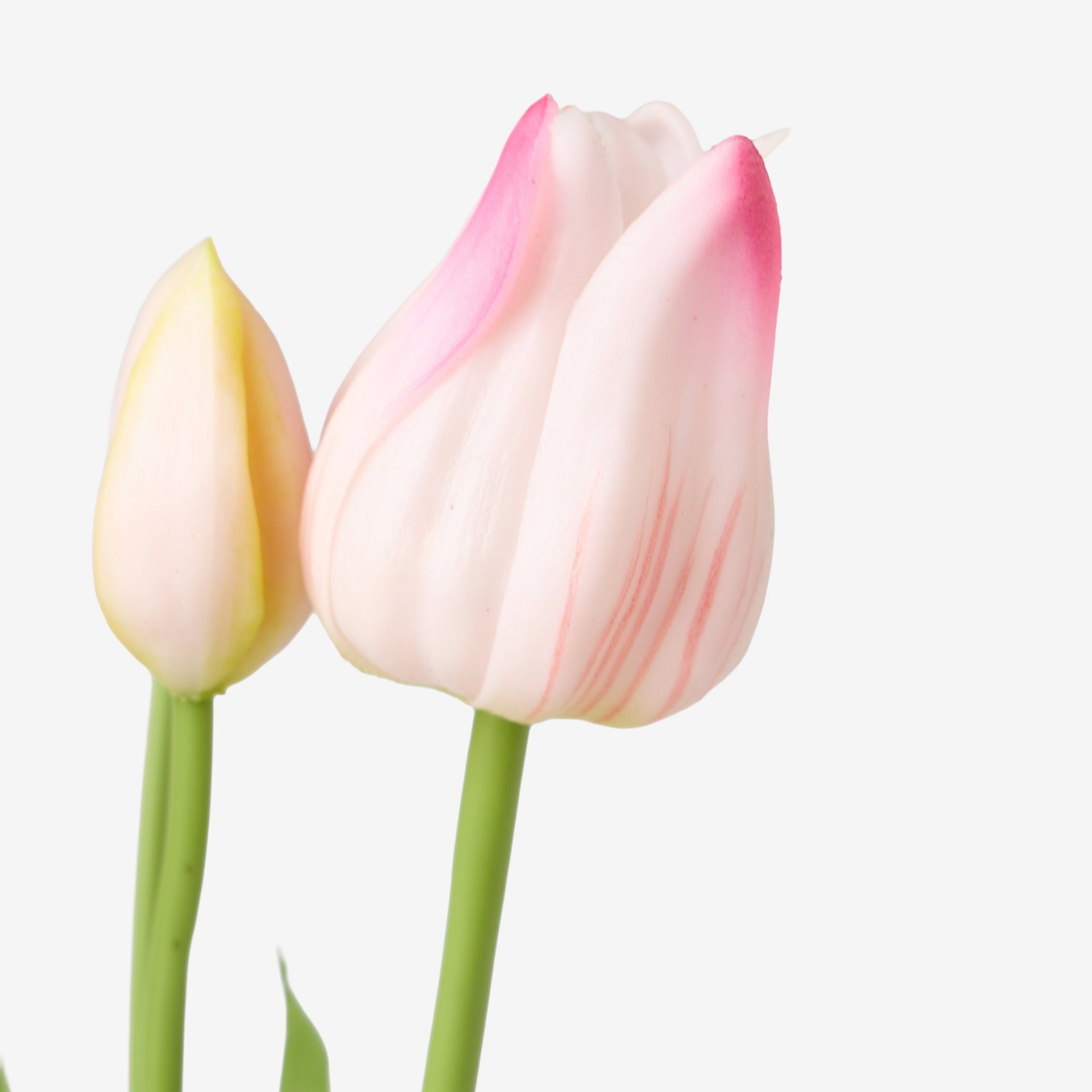 Atado Tulipas Rosa 50cm