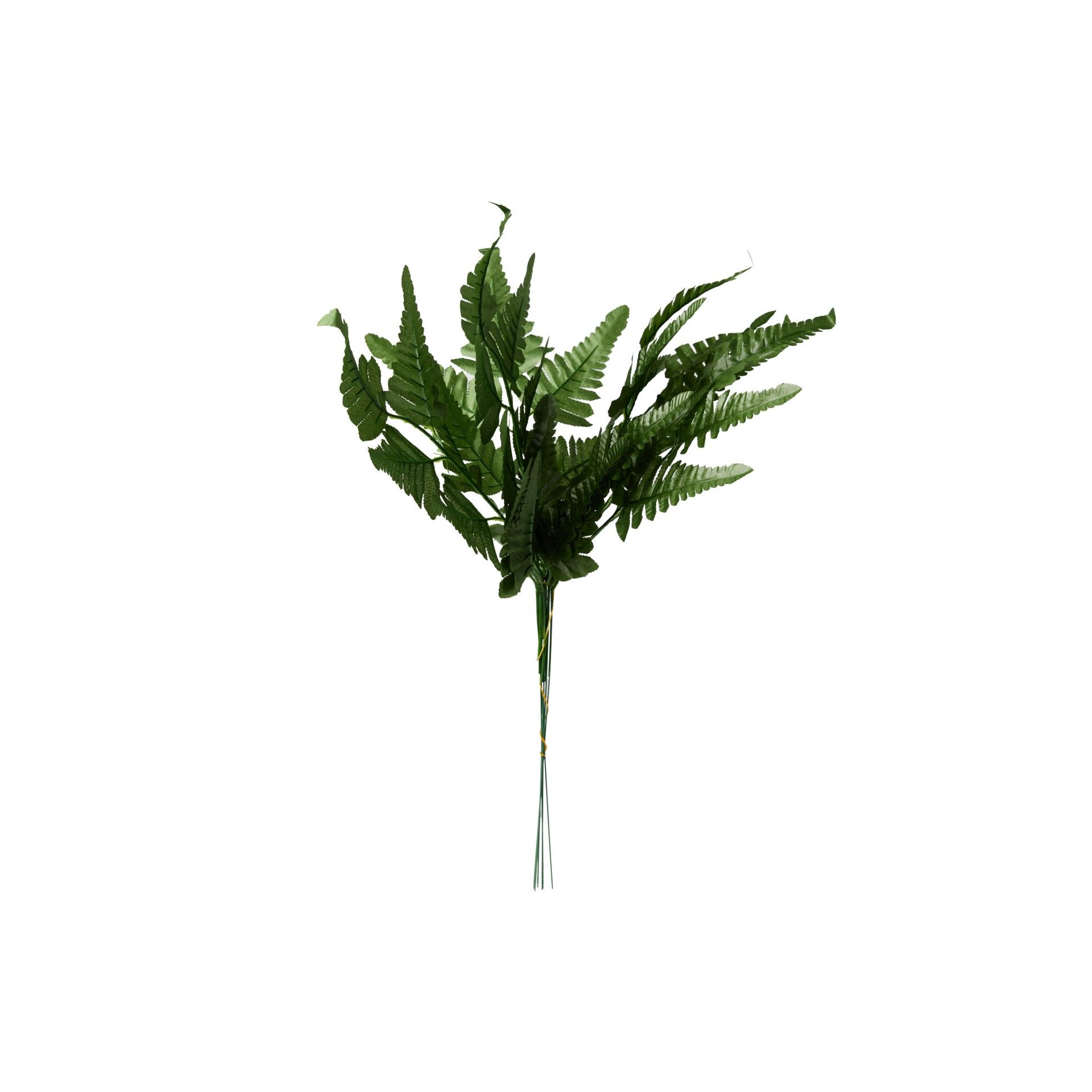 Atado Fetos 50cm