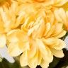 Ramo Dalias Amarelo 35cm Ramo Dalias Amarelo 35cm