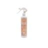 Ambientador Spray Canela / Laranja 300ml Ambientador Spray Canela / Laranja 300ml