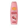 Gel Banho Natural Honey Sensations Frutos Vermelhos 650ml Gel Banho Natural Honey Sensations Frutos Vermelhos 650ml