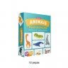 Jogo Evolui Animais Cartão Jogo Evolui Animais Cartão