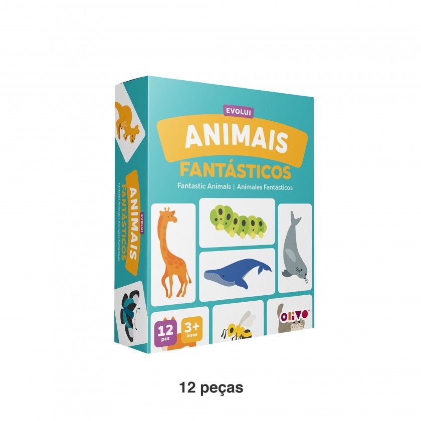Jogo Evolui Animais Cartão Jogo Evolui Animais Cartão