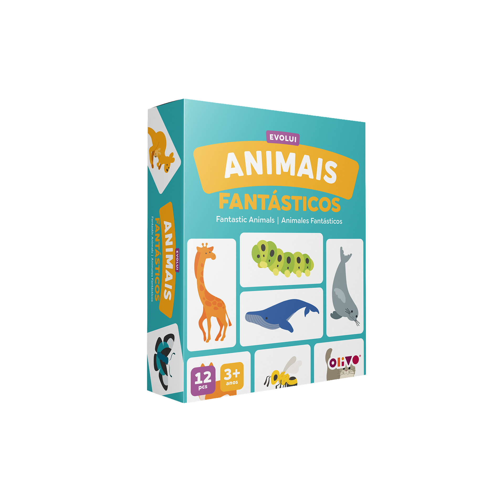Jogo Evolui Animais Cartão