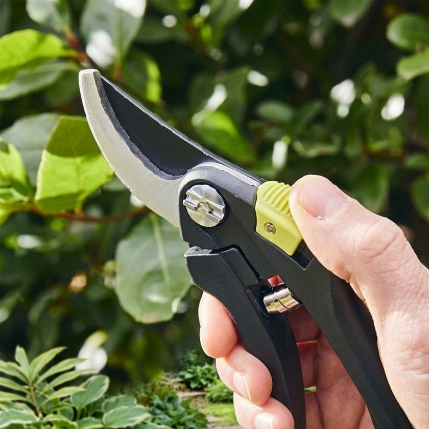 Tesoura Para Poda Tesoura Para Poda