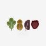 Molde Gelado Individual Frutas Silicone 12.2X10.2X3cm Molde Gelado Individual Frutas Silicone 12.2X10.2X3cm