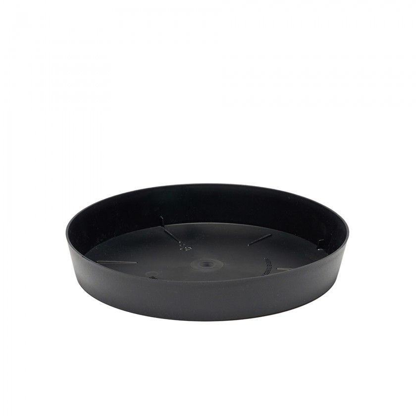 Prato Plastico Tes Redondo Preto Ø24x3.7cm Prato Plastico Tes Redondo Preto Ø24x3.7cm