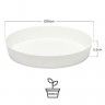Prato Plástico Tes Redondo Branco Ø36x5.5cm Prato Plástico Tes Redondo Branco Ø36x5.5cm