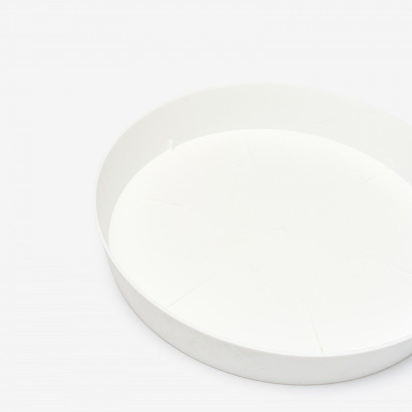 Prato Plástico Tes Redondo Branco Ø36x5.5cm Prato Plástico Tes Redondo Branco Ø36x5.5cm
