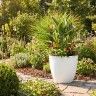 Vaso Plástico Tes Branco Ø60x55cm Vaso Plástico Tes Branco Ø60x55cm