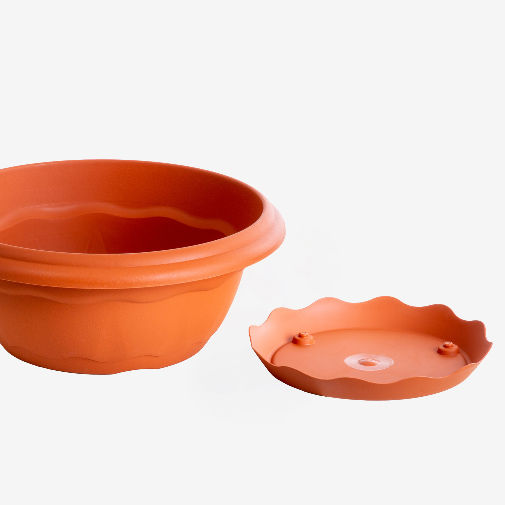 Taça Terra Redonda
