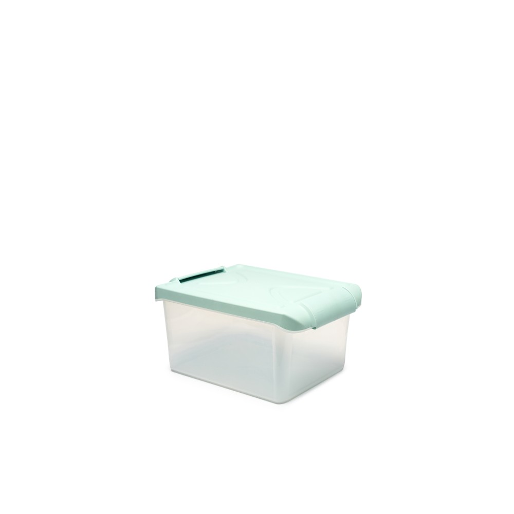 Caixa Arrumos Nature Menta 5.5l 30X20X13cm