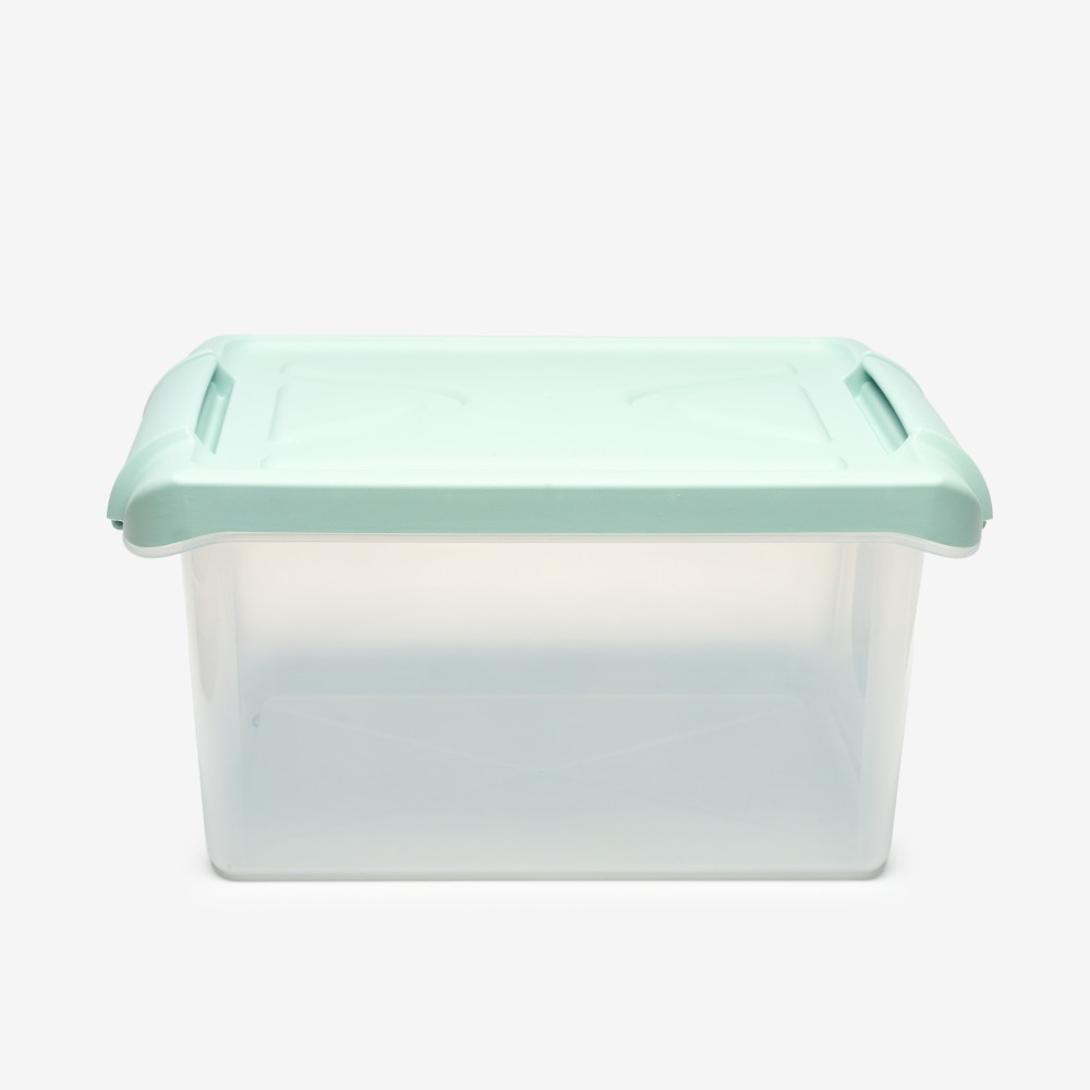 Caixa Arrumos Nature Menta 5.5l 30X20X13cm